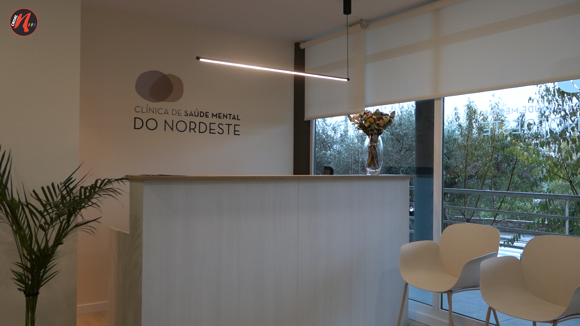 VÍDEO: CLÍNICA DE SAÚDE MENTAL DO NORDESTE REFORÇA VALÊNCIAS DO SETOR EM MIRANDELA